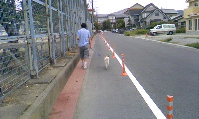 f0005081_1527272.jpg