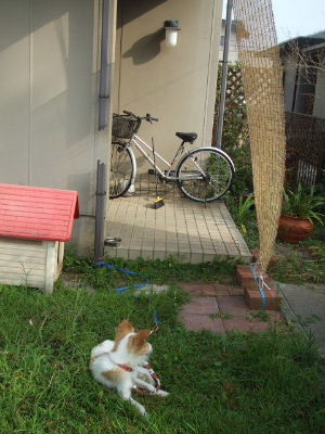 f0005081_16252683.jpg