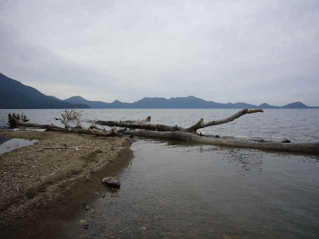 a0118989_22273241.jpg