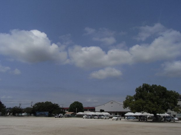 b0161189_21574652.jpg