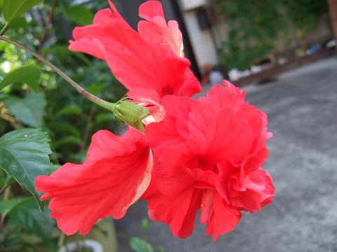 b0104592_14582052.jpg