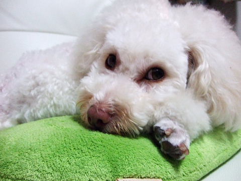 b0104592_15191100.jpg