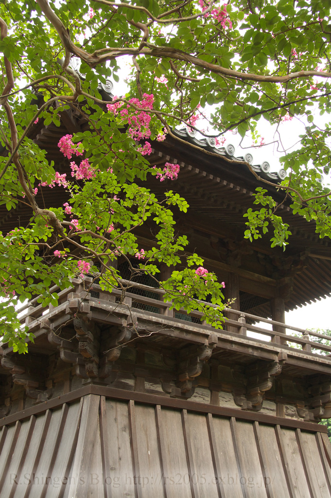 c0025498_9584969.jpg