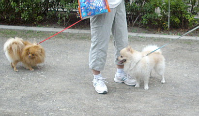 c0138198_22251178.jpg