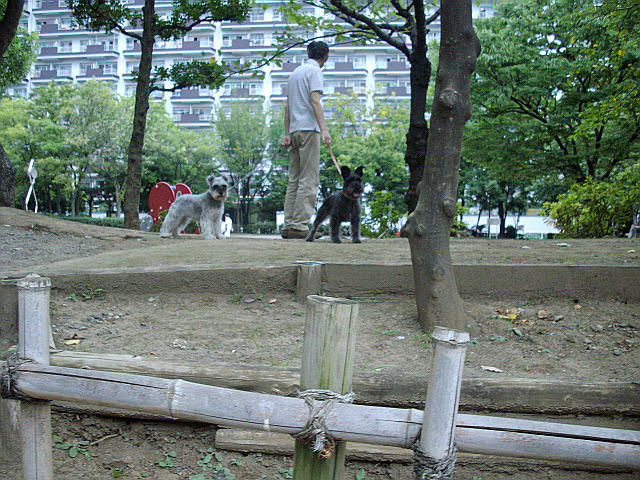 c0138198_22305929.jpg