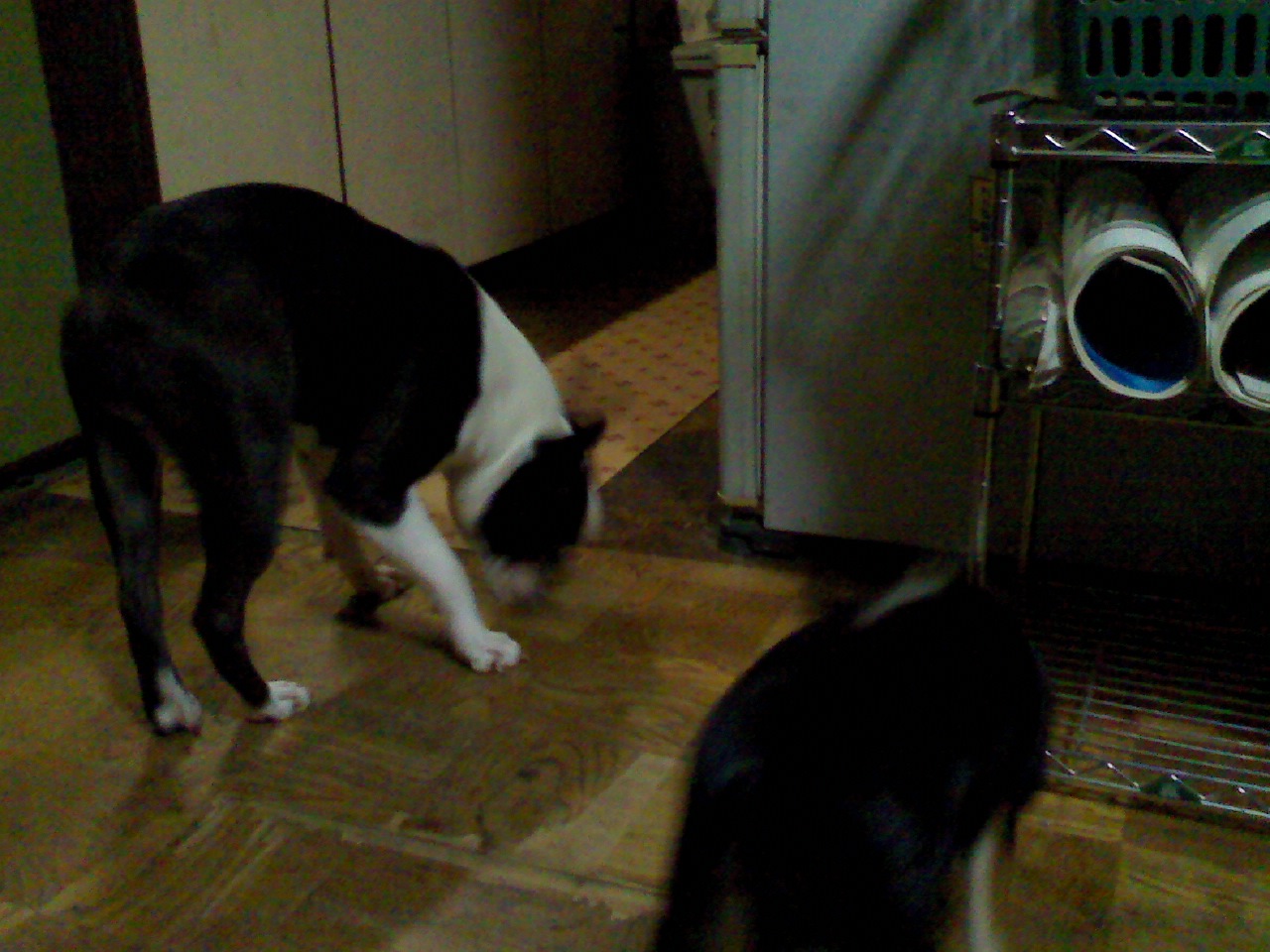 a0133999_22121220.jpg