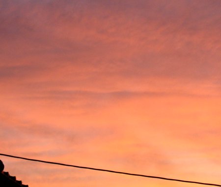 a0031000_235811.jpg