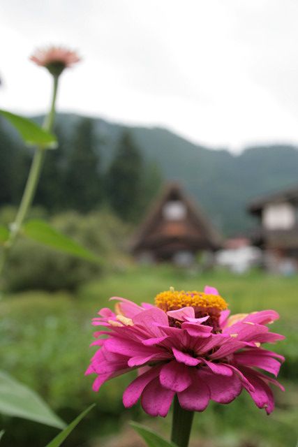 f0083400_20104670.jpg