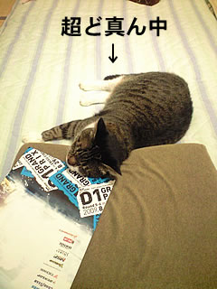 c0035001_1637370.jpg