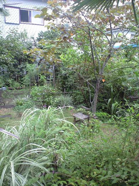 b0083902_2037556.jpg