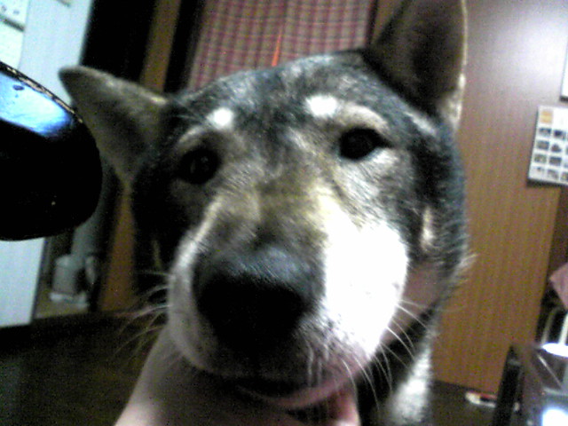 f0079202_2164327.jpg