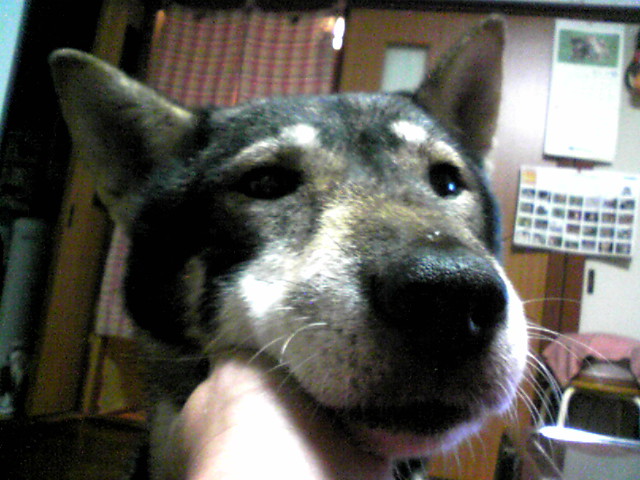 f0079202_2164398.jpg