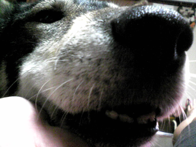 f0079202_216448.jpg