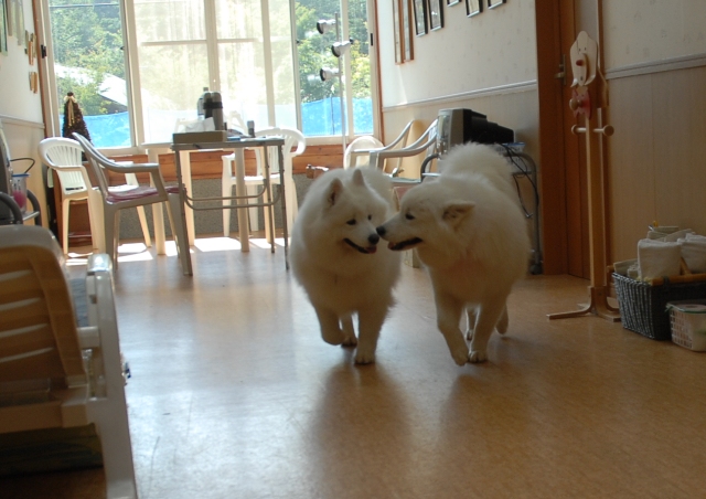 e0018604_17392012.jpg