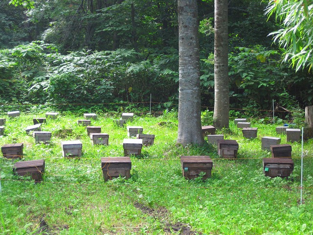 e0183804_0343556.jpg