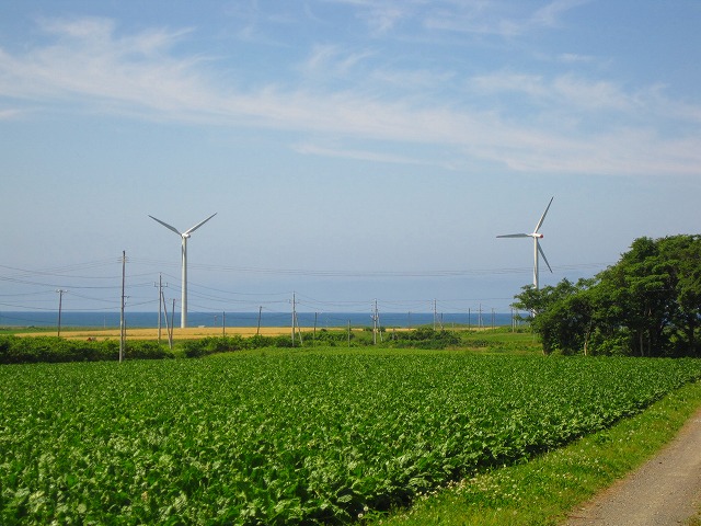 e0183804_0345772.jpg