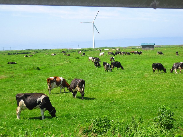 e0183804_0352068.jpg