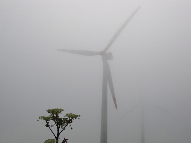 e0183804_1174413.jpg