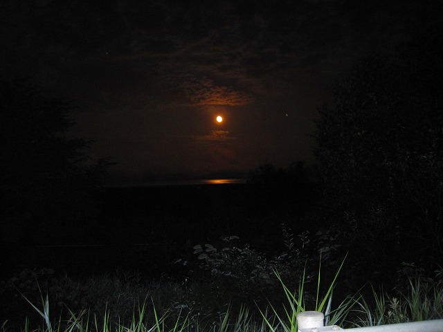 e0183804_118660.jpg
