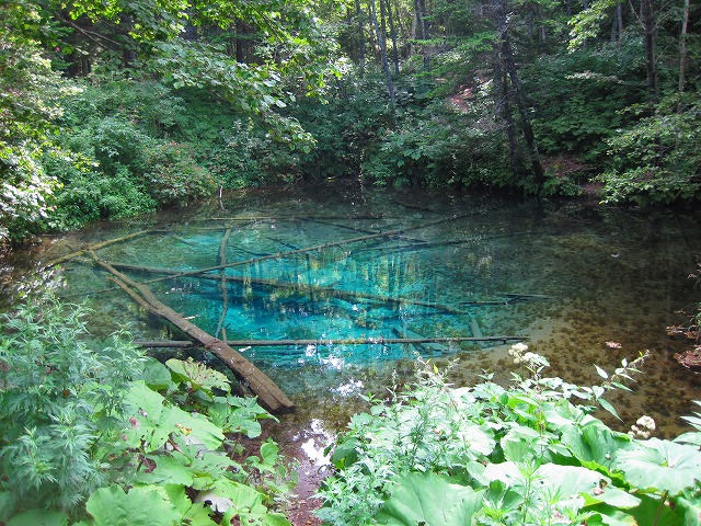 e0183804_15837100.jpg