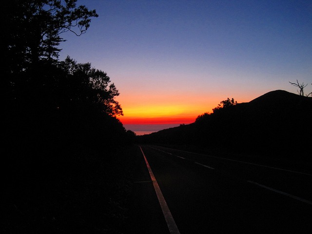 e0183804_22494.jpg