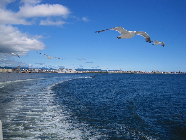 e0183804_3515936.jpg