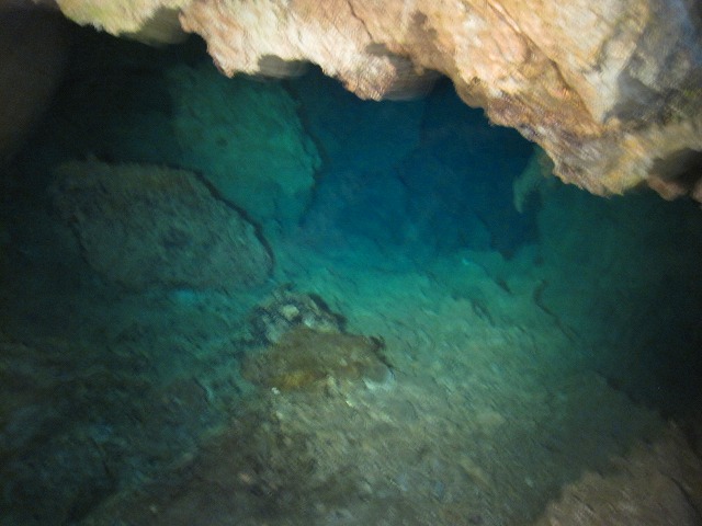 e0183804_4523886.jpg