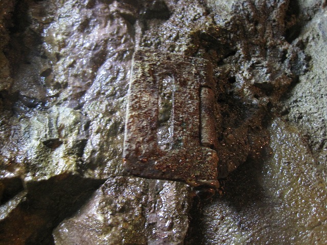 e0183804_453995.jpg