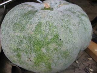 f0077807_18524077.jpg