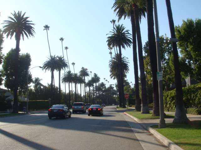 e0181908_1744745.jpg