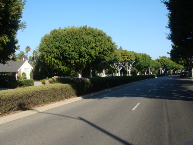 e0181908_1751212.jpg