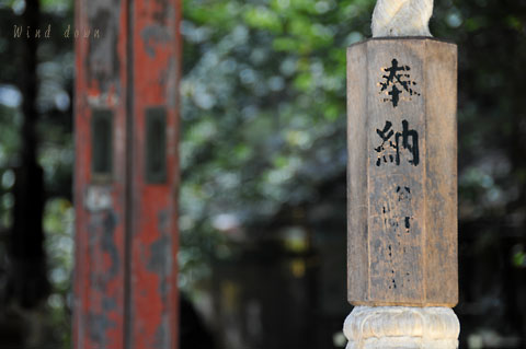 a0021110_16481768.jpg
