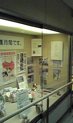 b0071310_20365694.jpg