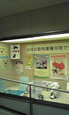 b0071310_2037877.jpg