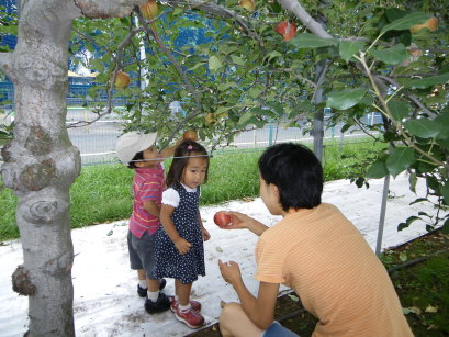 f0041311_148586.jpg