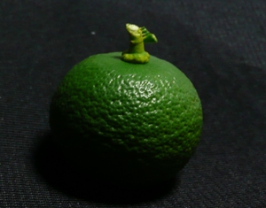 a0043512_1159116.jpg