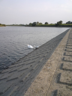 b0121015_2363486.jpg