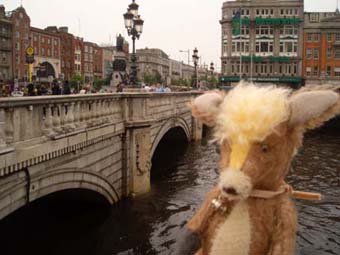 c0107615_1432391.jpg