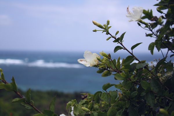 f0162319_12391531.jpg