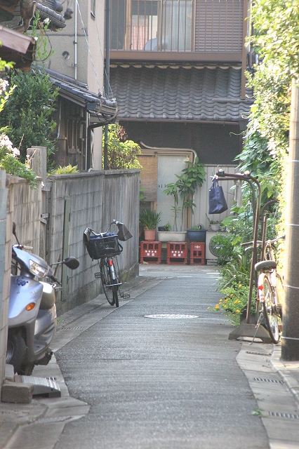 b0182422_025534.jpg