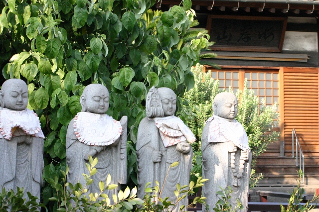 b0182422_026798.jpg
