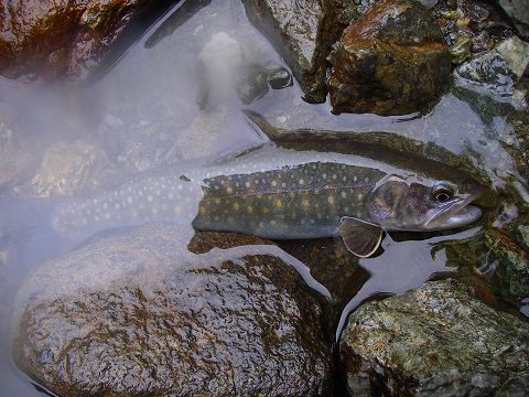 b0150023_2111930.jpg