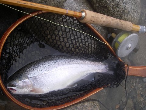 b0150023_2162485.jpg