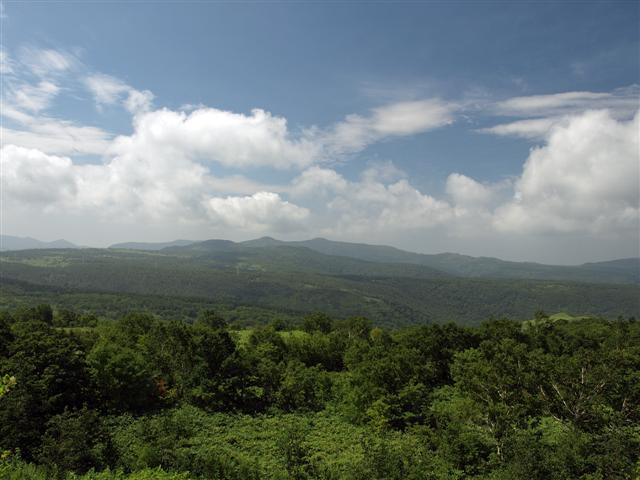b0171523_11571972.jpg