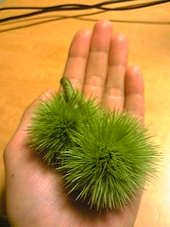 f0028123_2343780.jpg