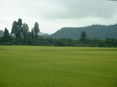 d0015124_17322568.jpg