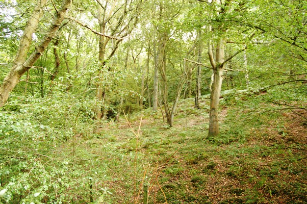 d0104926_21115.jpg