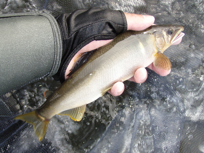 f0103126_21295085.jpg