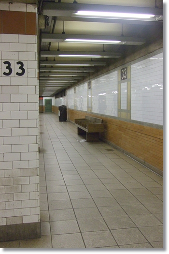 d0082628_2243125.jpg