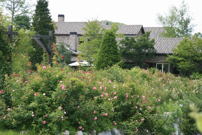 f0017530_19324610.jpg